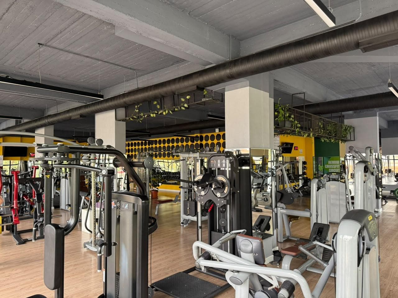 Exercise bikes and treadmills lined up beside the cardio floor windows