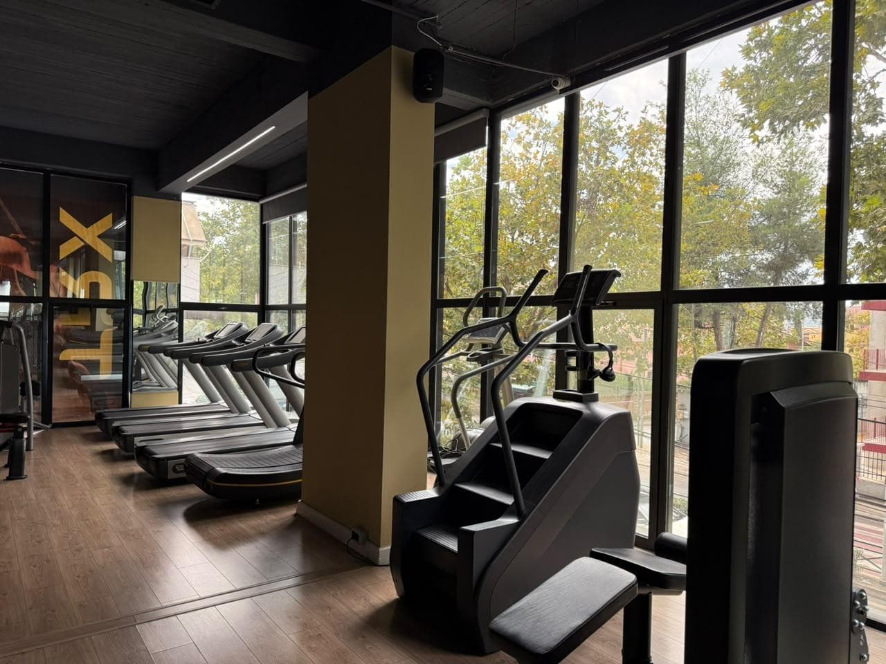 A row of treadmills beside the cardio floor floor-to-ceiling windows