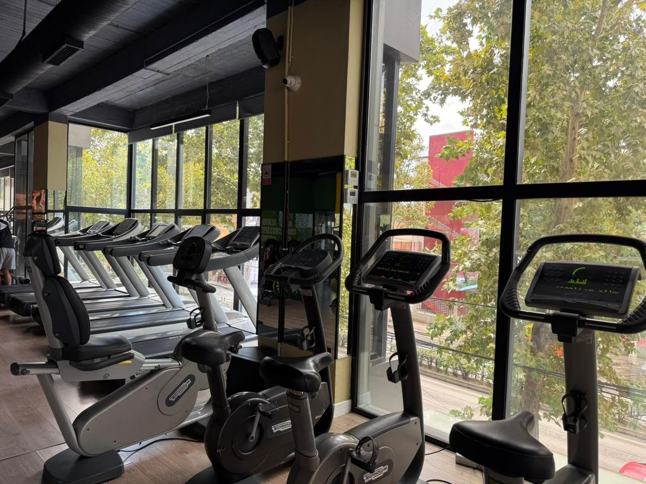 Exercise bikes facing a row of treadmills along the tree-lined windows of the cardio zone at My Fitness