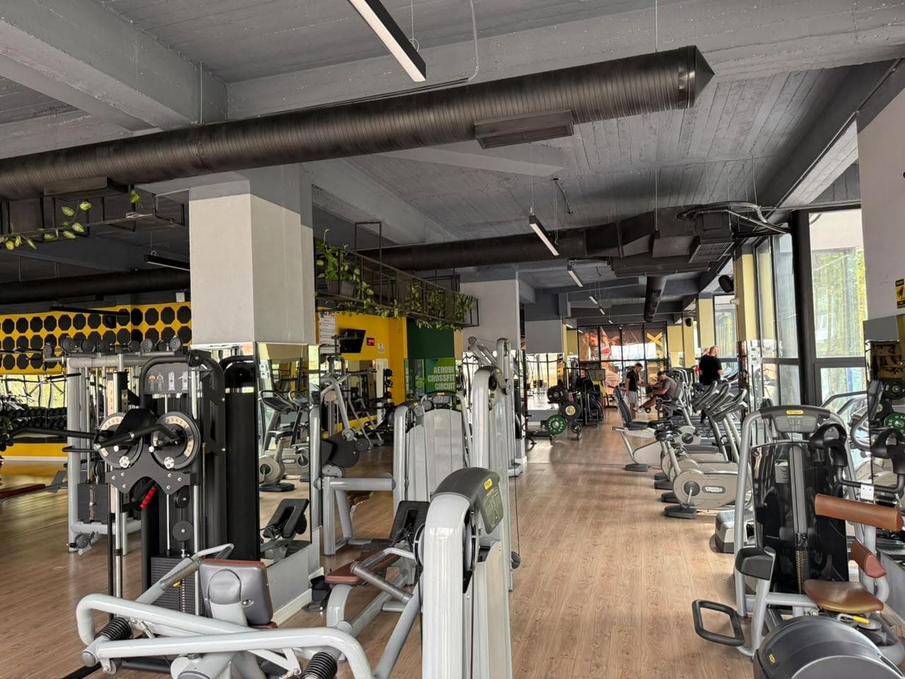 Five Cable Exercises Worth Adding to Any Split